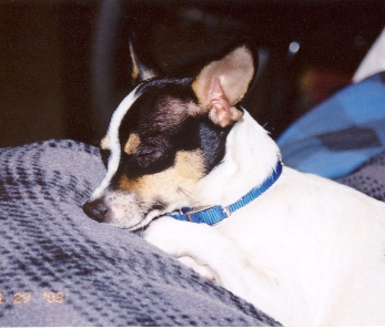 scan02.jpg (93991 bytes)